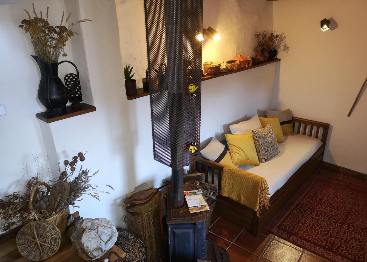 Toca Do Esquilo - Montesinho Villa Montezinho Dış mekan fotoğraf
